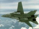  F-14 Tomcat wallpaper