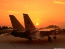  F-14 Tomcat wallpaper
