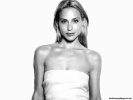  Claire Forlani wallpaper