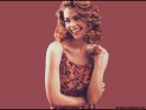  Denise Richards wallpaper
