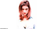  Denise Richards wallpaper