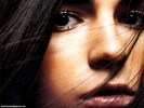  Jordana Brewster wallpaper