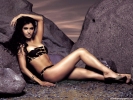  Kelly Hu wallpaper