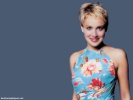  Sharon Stone wallpaper
