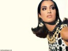  Yasmeen Ghauri wallpaper