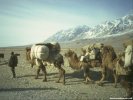 Great Silk Road Asia wallpaper