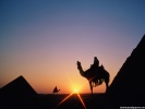 The Pyramids Egypt wallpaper