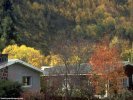 Fall Fall Scene wallpaper