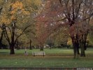 Fall Fall Scene wallpaper
