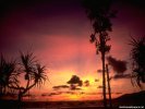 Sunset Sunset wallpaper
