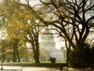 The Capitol Washington, D.C. wallpaper