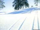 Snow Winter Landscape wallpaper