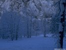 Winter Winter Landscape wallpaper