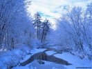 Winter Winter Landscape wallpaper